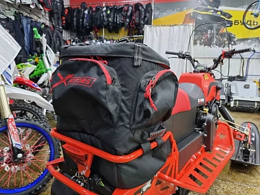 Снегоход IRBIS DINGO T200 XE 25/26 NEW