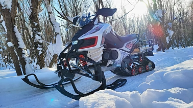 Снегоход PROMAX ARCTIC 400