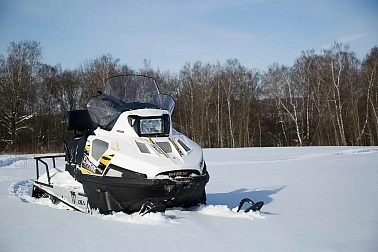 Снегоход STELS ЕРМАК SE800T L LUX 2LT CVTech