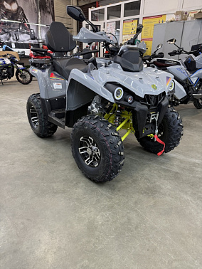 Квадроцикл PROMAX RENEGADE 280 LONG WINCH PRO (2025) Серый