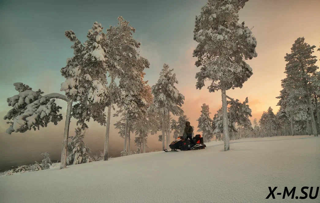 Снегоход Русская механика РМ TAYGA PATRUL 550 SWT